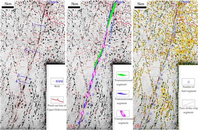 Genetic Types of the tp12cx Strike-Slip Fault Segments and Their Role in Controlling Reservoirs in the Tarim Basin